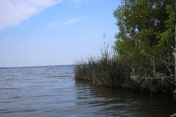 Paddling Back Bay NWR