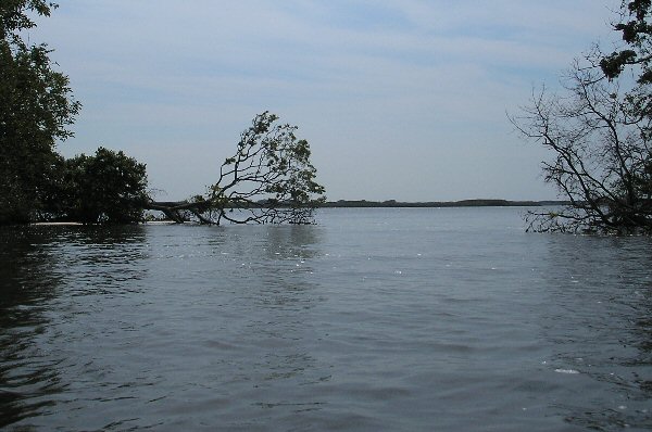 Back Bay NWR