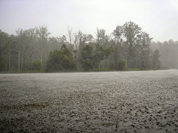 Downpour on the Occoquan