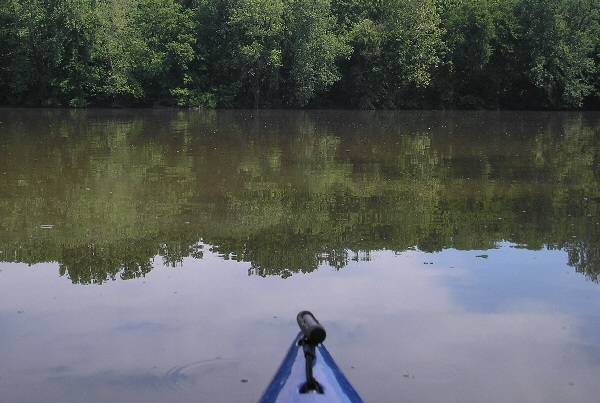 Love That Dirty Water, DC You're My Home...upstream from the Algonkian Regional Park boat landing