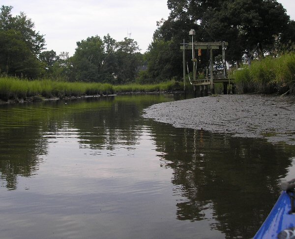 Paddling Bennett's Creek