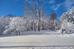 Beautiful snow on the trees with a blue sky background.