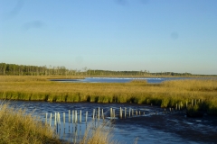 blackwaterNWR_05