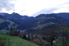 Gruyere8