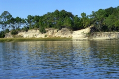 CarolinaBeachStateParKPaddling05