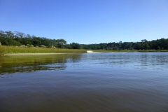 CarolinaBeachStateParKPaddling06