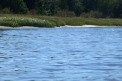 CarolinaBeachStateParKPaddling08