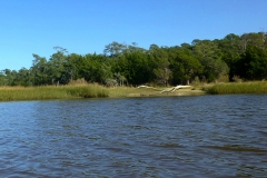 CarolinaBeachStateParKPaddling09