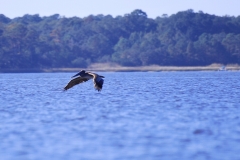 CarolinaBeachStateParKPaddling20