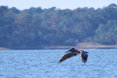 CarolinaBeachStateParKPaddling22