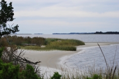 CarolinaBeachStatePark06