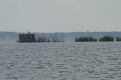 CurrituckSoundPaddling1