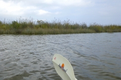 CurrituckSoundPaddling4