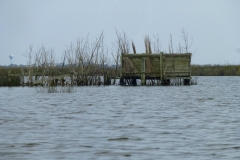 CurrituckSoundPaddling5