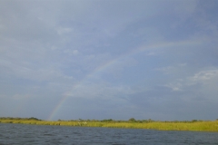 CurrituckSoundPaddling6