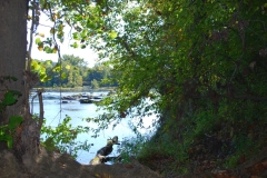 RiverBendPark1