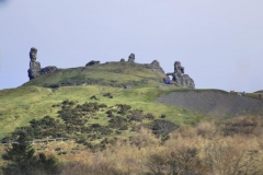 DinasBran1