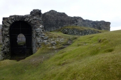 DinasBran10