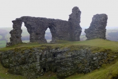 DinasBran11