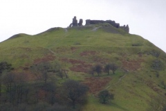 DinasBran14