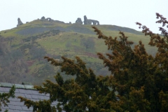 DinasBran15