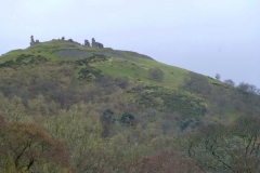 DinasBran2