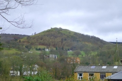 DinasBran3