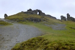 DinasBran4