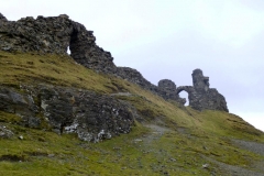 DinasBran5