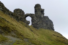 DinasBran6