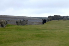 DinasBran7