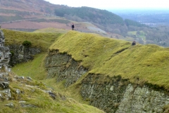 DinasBran8