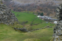 DinasBran9